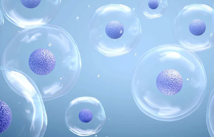 Fermentation-Derived Biomolecules