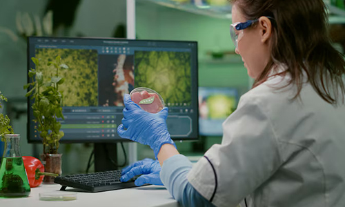 Innovative Biotech Solutions for Therapeutic Applications